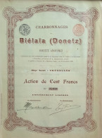 Delcampe - S.A. Charbonnages De Biélaïa (Donetz) - Act.de 100 Fr- 1895 - Russie