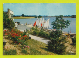 Delcampe - 49 CHOLET Lac De RIBOU Et Port De Plaisance Voiliers Peugeot 403 Citroën 2CV VOIR TIMBRE - Cholet
