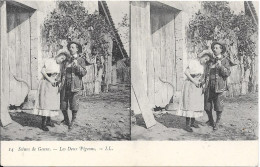 Delcampe - Scènes De Genre - Les Deux Pigeons - Stereoskopie