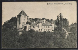 Delcampe - AK Wildenstein /Baselland, Schloss Wildenstein - Sonstige & Ohne Zuordnung