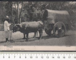 Delcampe - Chiapas.Carreta De Bueyes.Editor Latapi.Tarjeta Limpia,blanca.Pluscuamperfecta - Mexiko