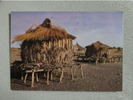 Delcampe - Couleurs Du Senegal Millet Granaries  Photo MYD - Senegal