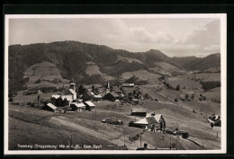 Delcampe - AK Hemberg /Toggenburg, Totalansicht Vom Eggli Aus - Hemberg
