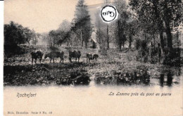 Delcampe - BRC Nels Rochefort La Lomme Pres Du Pont En Pierre - Rochefort