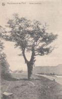 Delcampe - MARCHIENNE AU PONT  LE CHENE HISTORIQUE - Charleroi