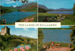 Delcampe - CPM The Lakes Of Killarney The Three Main Lakes Lie Along A Broad Valley - Kerry