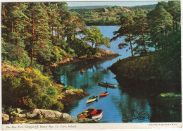 Delcampe - The Blue Pool, Glengarriff, Bantry Bay, Co. Cork - (Ireland) - 1965 - John Hinde Original - Cork
