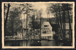 Delcampe - AK Dresden-Pillnitz, Gasthaus Meixmühle A. Braune Im Friedrichsgrunde - Pillnitz