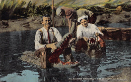 Delcampe - Panama Alligators Caught On The Isthmus Of Panama Vintage Postcard - Panama