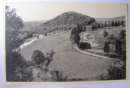 Delcampe - BELGIQUE - LUXEMBOURG - HERBEUMONT - Route De Florenville - Herbeumont