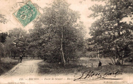 Delcampe - 91 BRUNOY FORET DE SENART MARE DU CAPITAINE ET ROUTE DES MOINES - Brunoy