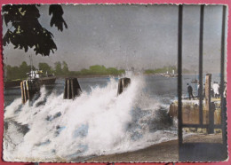 Delcampe - 76 - Caudebec En Caux - Le Mascaret - Caudebec-en-Caux