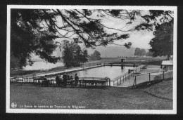 Delcampe - Soumagne Le Bassin De Natation Du Domaine De Wégimont Photo Carte Postale - Soumagne