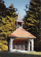 Delcampe - 88-DARNEY-N° 4406-C/0379 - Darney