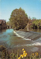 Delcampe - 72-LOUE-N° 4406-B/0263 - Loue