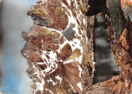 Delcampe - 38-CHAMROUSSE-N° 4406-A/0305 - Chamrousse