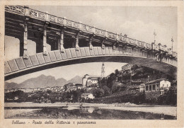 Delcampe - #BELLUNO: PONTE DELLA VITTORIA E PANORAMA - Belluno
