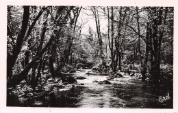 Delcampe - 87-SAINT SULPICE LES FEUILLES-N°2132-H/0003 - Saint Sulpice Les Feuilles