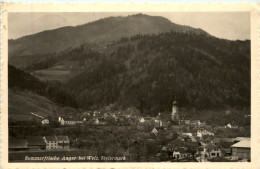 Delcampe - Anger - Oststeiermark - Sommerfische Anger - Anger