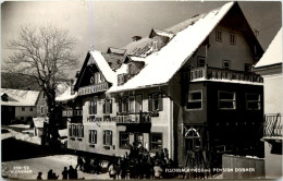 Delcampe - Weiz/Steiermark - Fischbach, Pension Dobner - Weiz