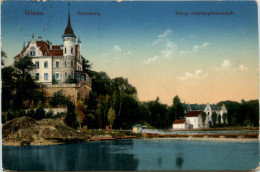 Delcampe - Grimma, Gattersburg - Grimma