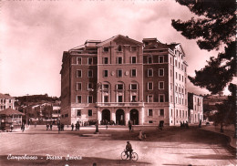 Delcampe - #CAMPOBASSO: PIAZZA SAVOIA - Campobasso