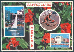 Delcampe - Forlì Gatteo Mare Souvenir Di Foto FG Cartolina JK3524 - Forlì