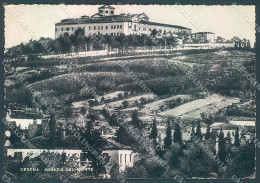 Delcampe - Forlì Cesena Città Abbazia Del Monte Foto FG Cartolina JK3558 - Forlì