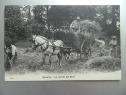 Delcampe - SARCELLES                         LA RENTREE DES FOINS - Sarcelles