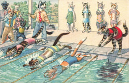 Delcampe - [-30%] FANTAISIES  - Chats - Compétition - Natation - Carte Postale Ancienne - Gekleidete Tiere