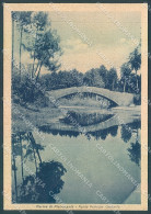 Delcampe - Lucca Marina Di Pietrasanta Ponte Principe Umberto FG Cartolina JK3186 - Lucca