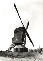 Delcampe - [-30%] BELGIQUE - Tessenderlo - Moulen - No 2 - A. Verbeeck En Zn. P.v.b.a - Carte Postale Ancienne - Tessenderlo