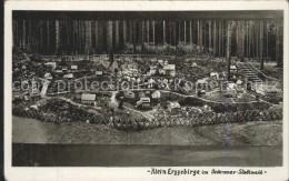 Delcampe - Oederan Klein Erzgebirge Miniaturpark Stadtwald - Oederan