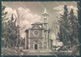 Delcampe - Forlì Dovadola Santuario PIEGHINE ANGOLO FG Cartolina JK3566 - Forlì