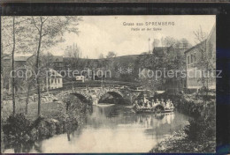 Delcampe - Spremberg-Neusalza Partie An Der Spree - Neusalza-Spremberg