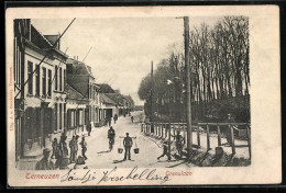 Delcampe - AK Terneuzen, Grenulaan - Terneuzen