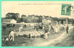 Delcampe - Mailly Le Camp -  Aube -  Boucherie Militaire Les Moutons Avant Le Sacrifice -  Animée - Mailly-le-Camp