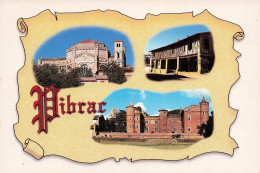 Delcampe - [-20%] FRANCE - Pibrac - Multivues - Carte Postale - Pibrac