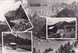 Delcampe - * ALLEGHE - Panorami 1954 - Belluno
