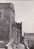 Delcampe - * ALANNO - Bozza Fotografica N.15256 - Palazzo Leognani Fieramosca 1925 - Pescara