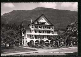 Delcampe - AK Weggis, Hotel Schweizerhof Mit Strasse Und Einfahrt - Weggis