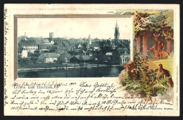 Delcampe - Präge-AK Bretten, Teilansicht Mit Kirche, Rehe Und Rebhuhn, Passepartout - Bretten