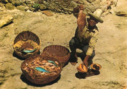 Delcampe - Martinique La Trinité Pêcheur De La Caravelle - La Trinite