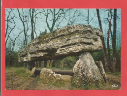 Delcampe - C.P.M. ( 86 ) « Env De CIVRAY » Le Dolmen De La Pierre Pèse  - Jolie Vue Générale  X2phots - Civray