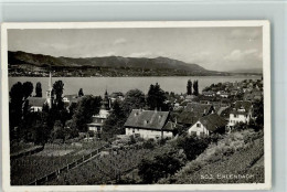 Delcampe - 8703 Erlenbach ZH - Panorama Reben Kirche Zürichsee - 13095849 - Erlenbach