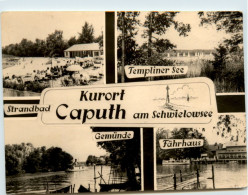 Delcampe - Caputh Am Schwielowsee, Div. Bilder - Schwielowsee