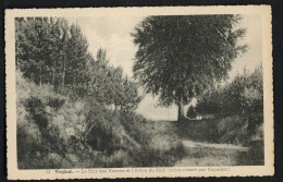 Delcampe - Virginal - Le Bois Des Nonnes Et L'arbre Du Midi Planté Par Napoléon - Edit. Mathieu-Cheron - Voir Scans - Ittre