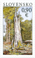 Delcampe - ** 497 Slovakia EUROPA Forests - Poloniny National Park 2011 - 2011