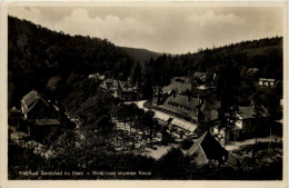 Delcampe - Alexisbad I.H., Blick Vom Eisernen Kreuz - Harzgerode