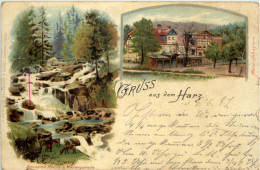 Delcampe - Gruss Aus Harz - Wernigerode Hohnstein - Litho - Wernigerode